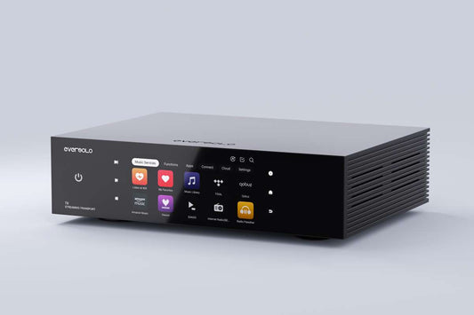 EverSolo T8 Transport (NEU) - Vorbestellung