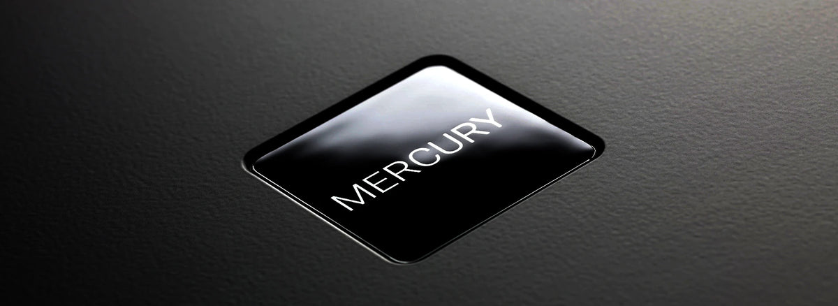 Rega Mercury (NEU)