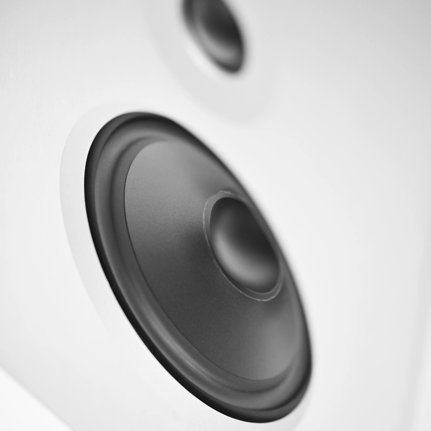 AVM AUDITION CB 2.3 (NEU)