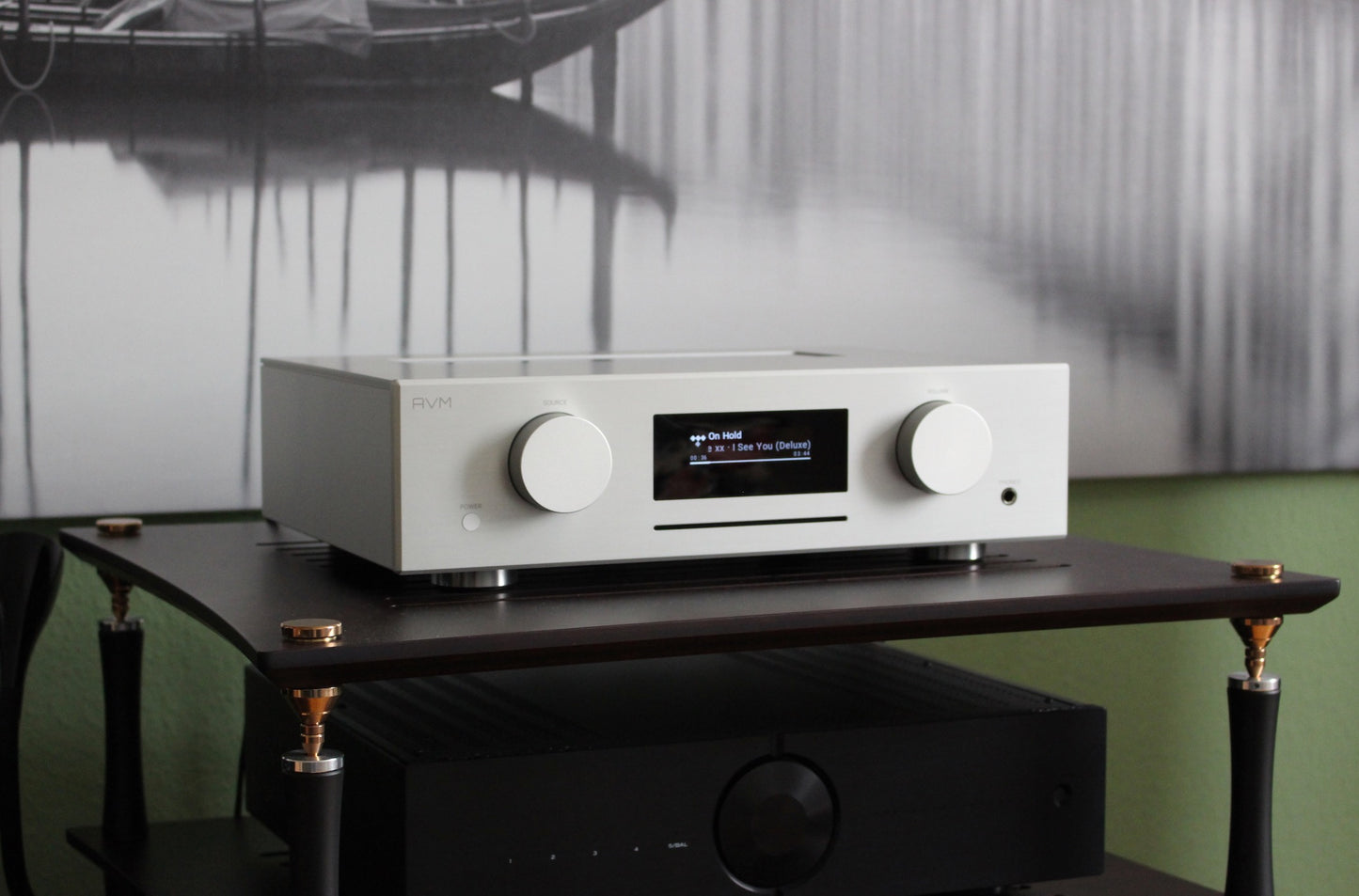 AVM CS 5.3 in silber (aus Demo)