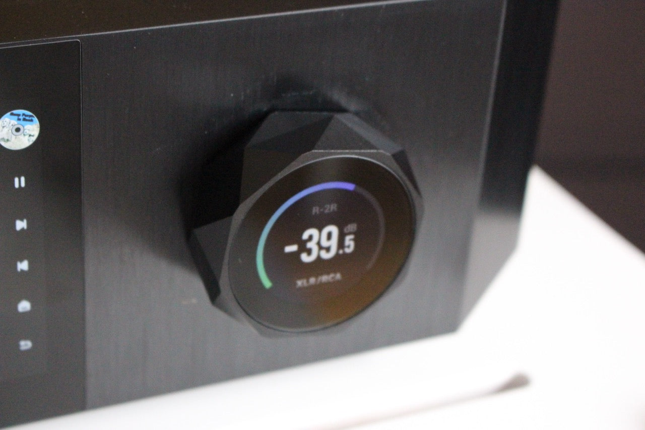 EverSolo DMP-A10 (NEU)