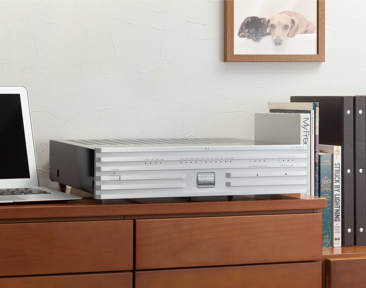 Soulnote D-1N DAC (aus Demo)