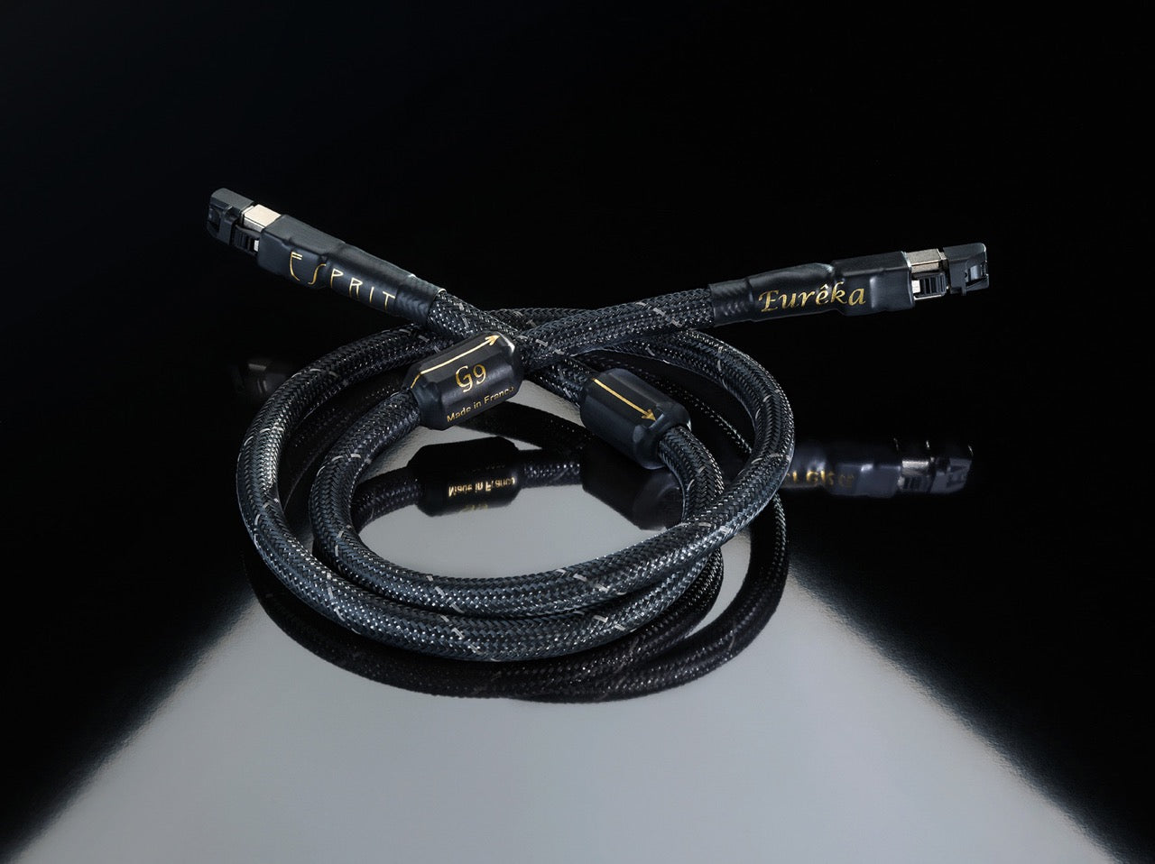 Esprit Audio Eurêka RJ-45 (NEU)