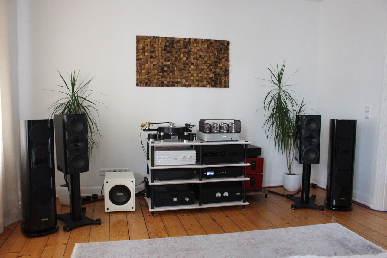 Perlisten Audio R5m (NEU)
