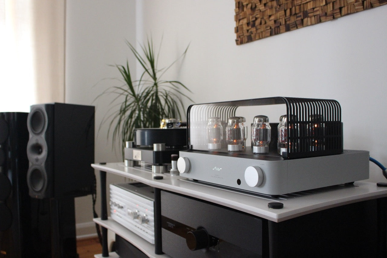 Perlisten Audio R5m (NEU)
