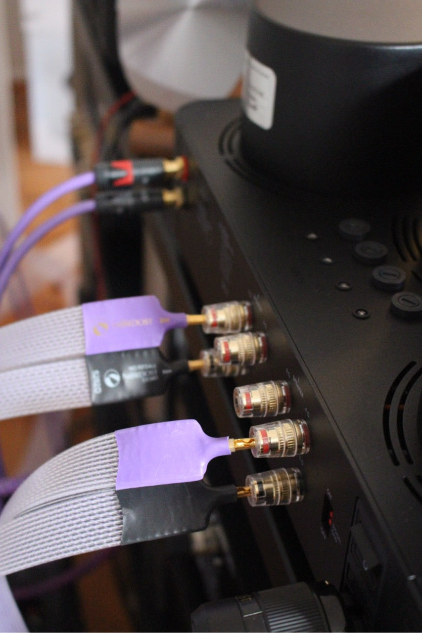 FEZZ Audio Evolution Titania PA in schwarz (neuwertig)