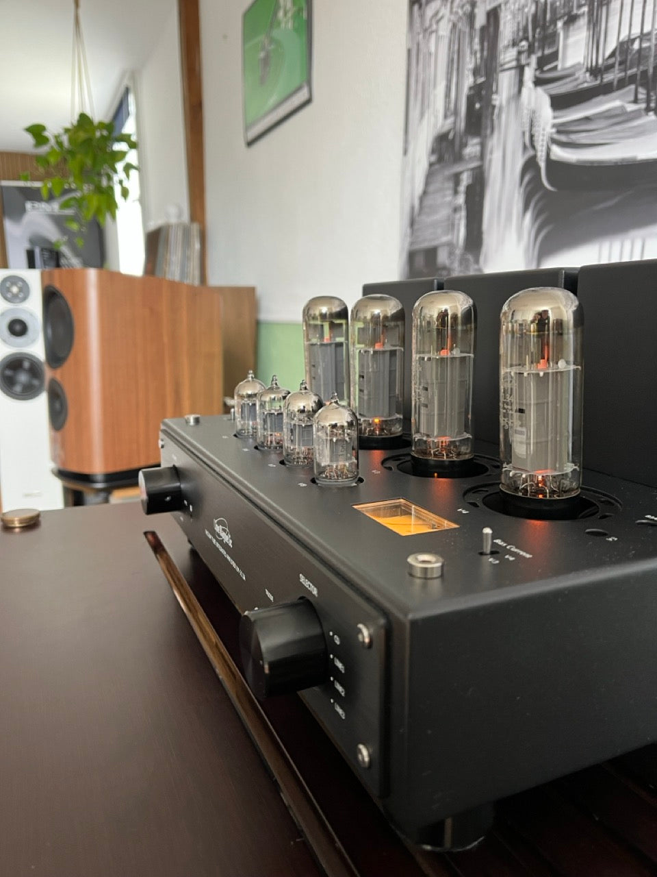 Line Magnetic LM-211 IA (NEU)