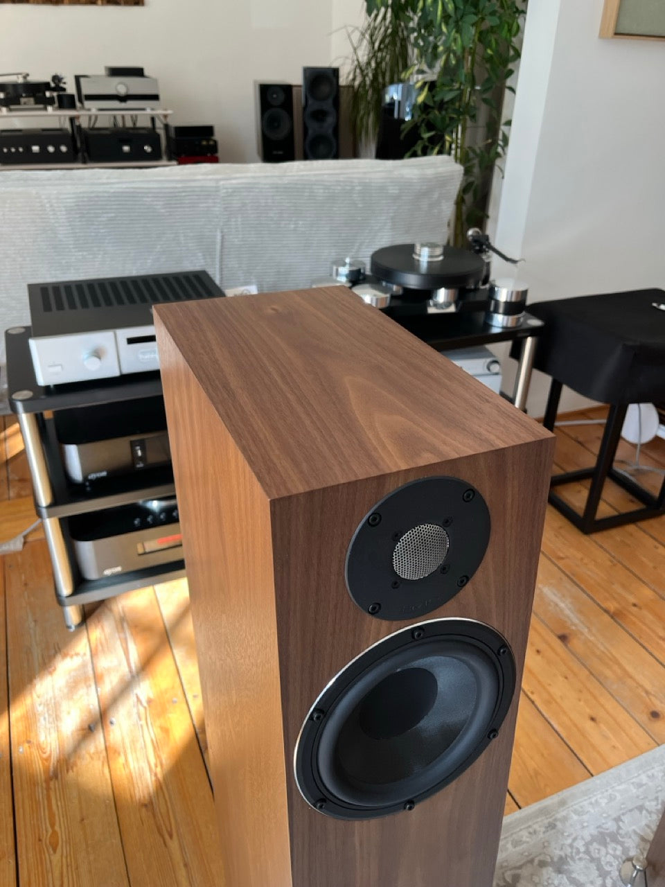 PMC twenty5.24i in Walnuss (gebraucht)