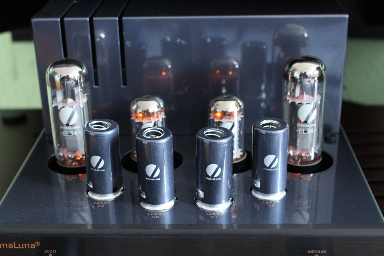 PrimaLuna EVO 100 Tube Phono Preamplifier (NEU)