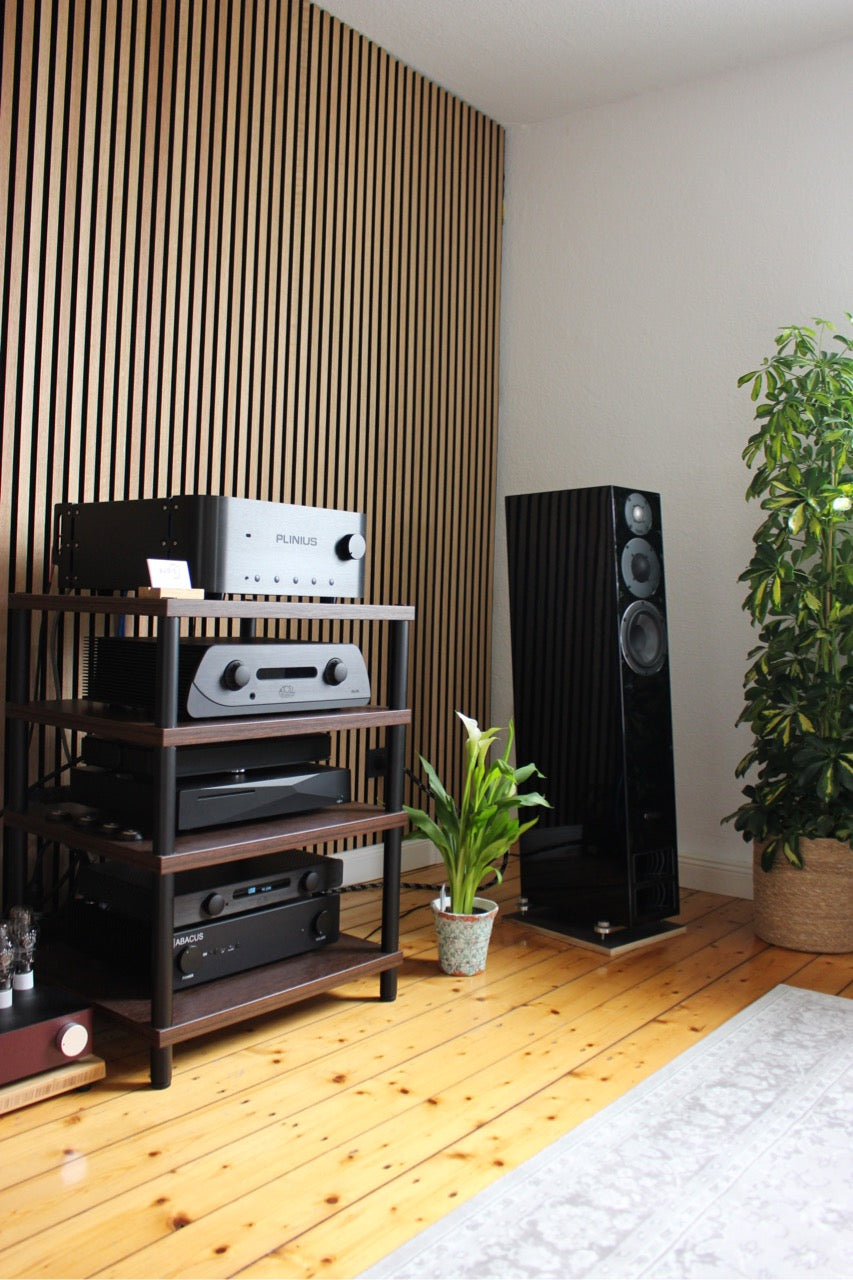 PLINIUS Audio Hiato (NEU)