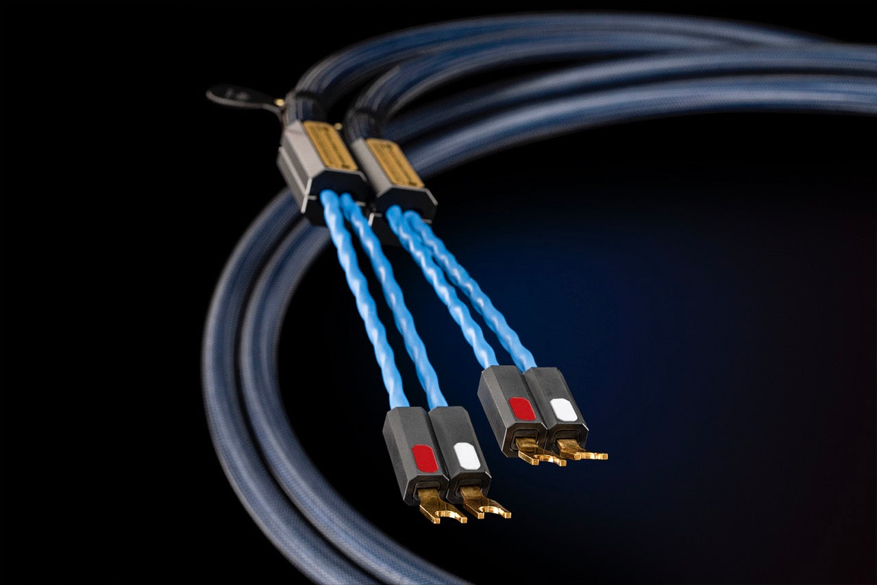 Siltech Royal Single Crown Speak (NEU)