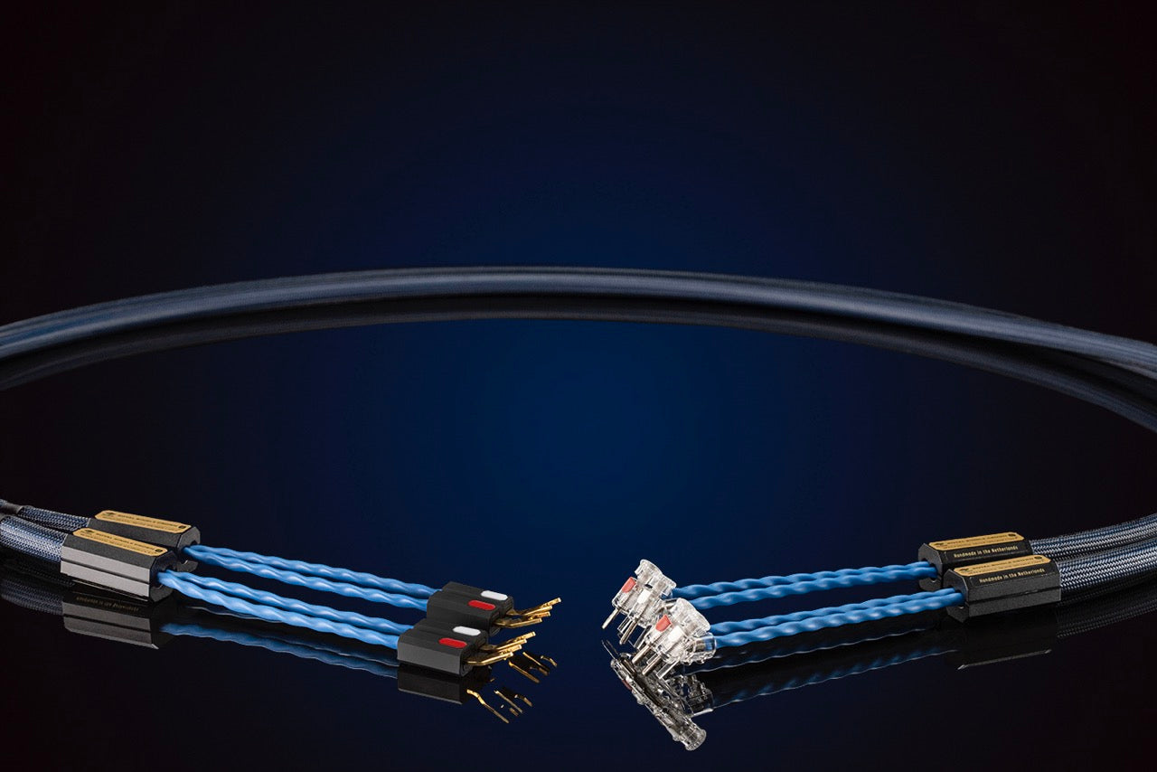 Siltech Royal Single Crown Speak (NEU)