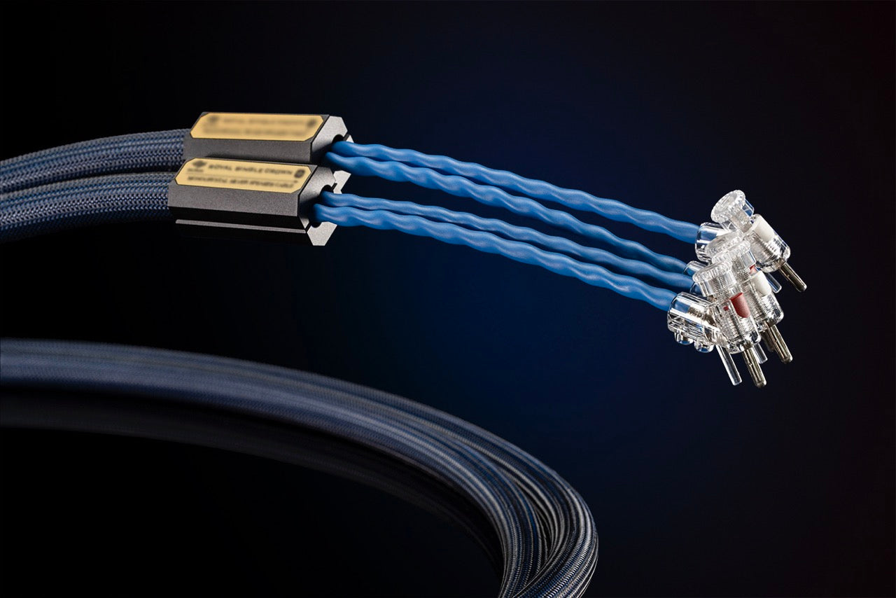 Siltech Royal Single Crown Speak (NEU)