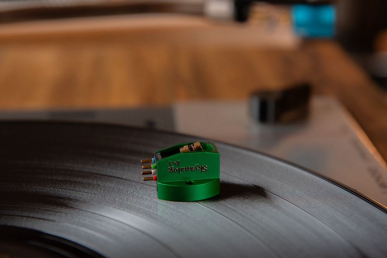 Skyanalog P-1G (NEU)