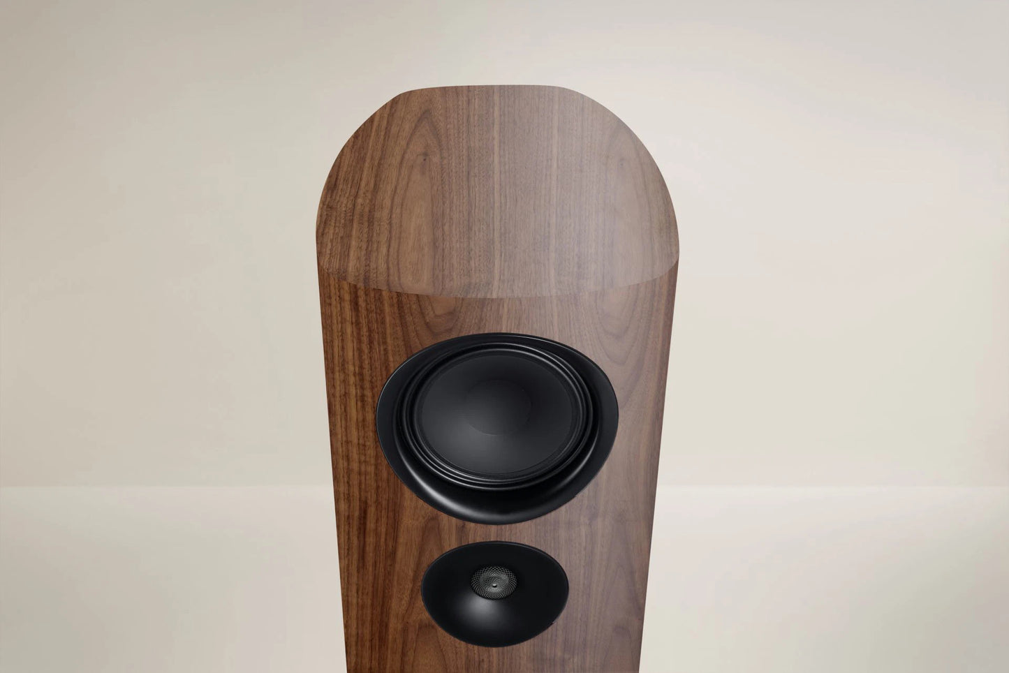 Canton Reference 5 GS Edition (NEU)