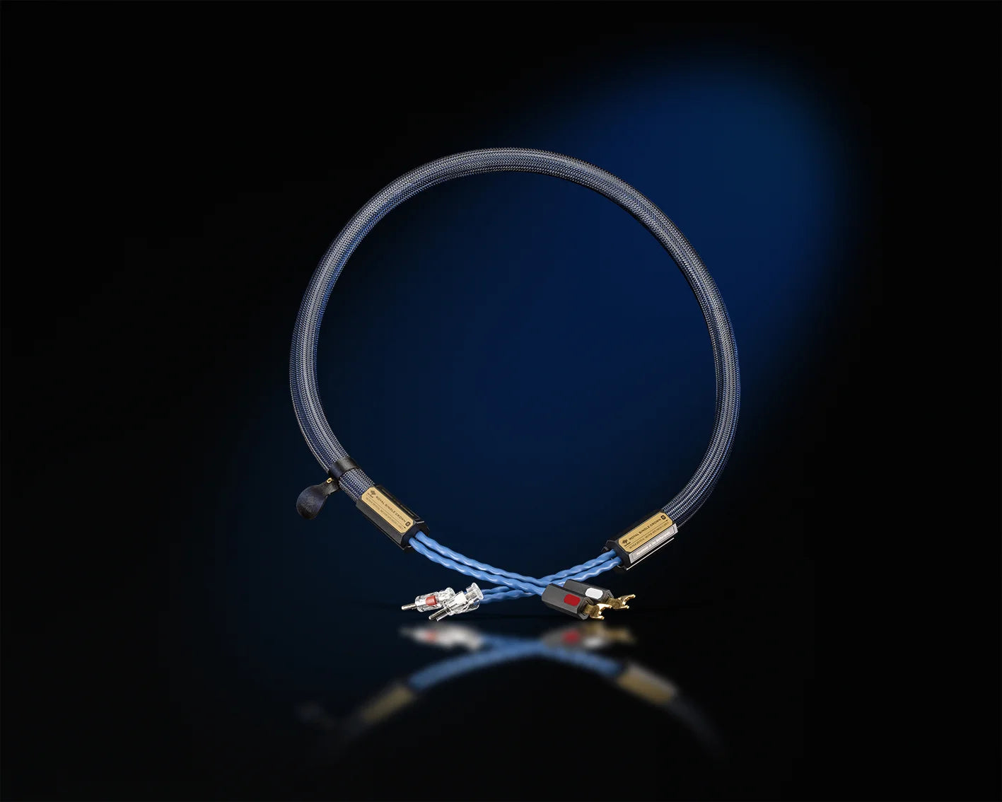 Siltech Royal Single Crown Speak (NEU)