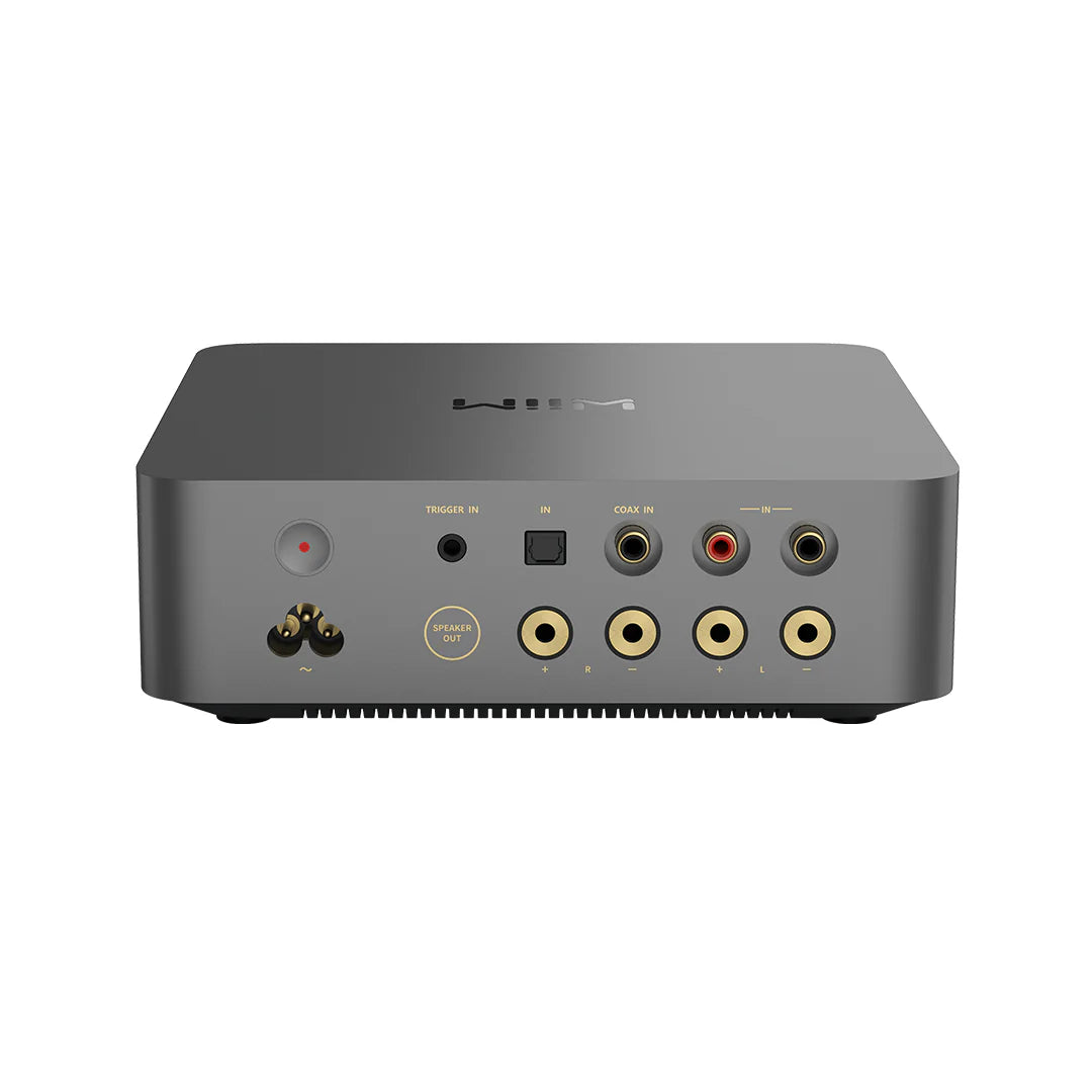 WiiM Vibelink Amp (NEU)