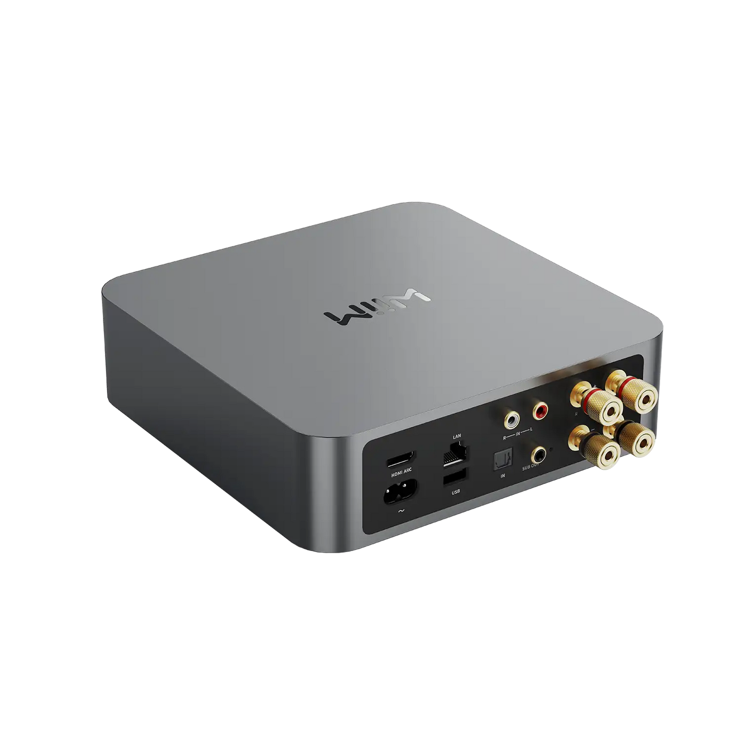 WiiM Amp (NEU)