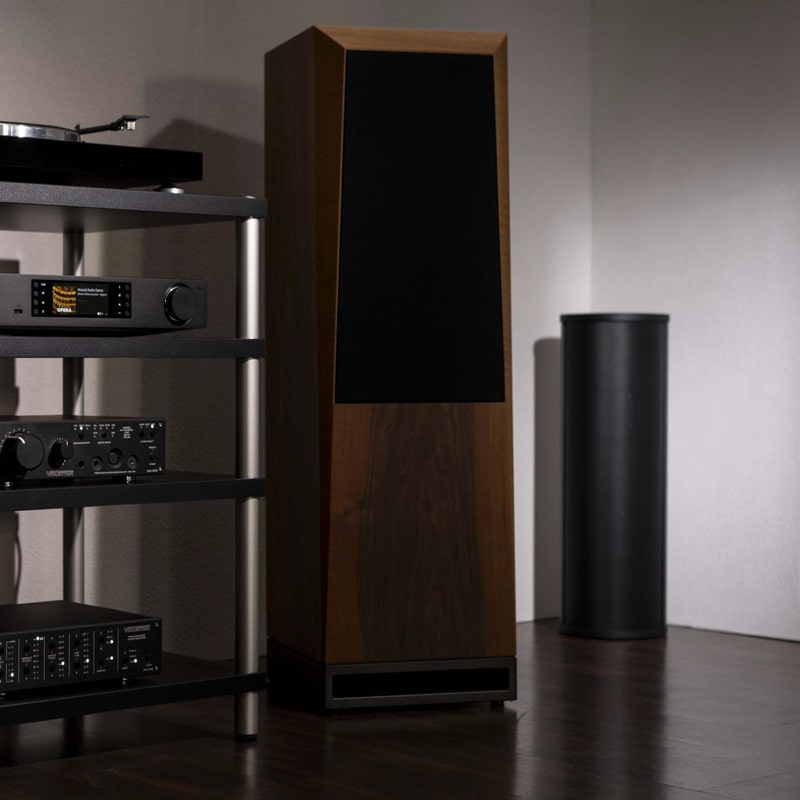 PSI Audio AVAA C214 (NEU)
