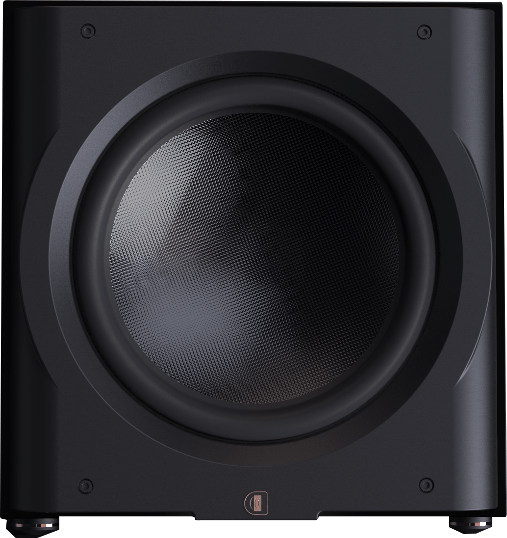 Perlisten Audio D15s (NEU)
