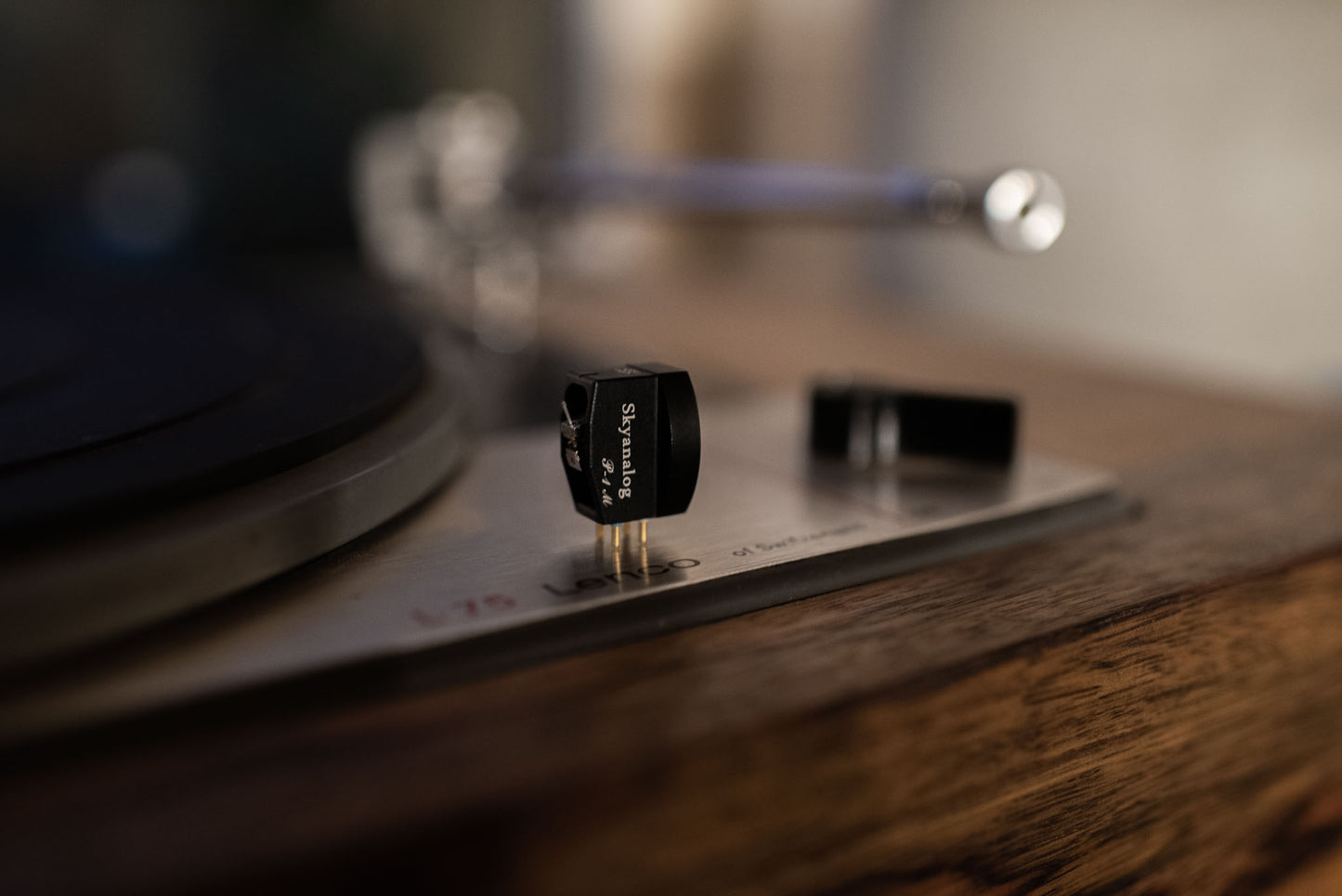 Skyanalog P-1M (NEU)