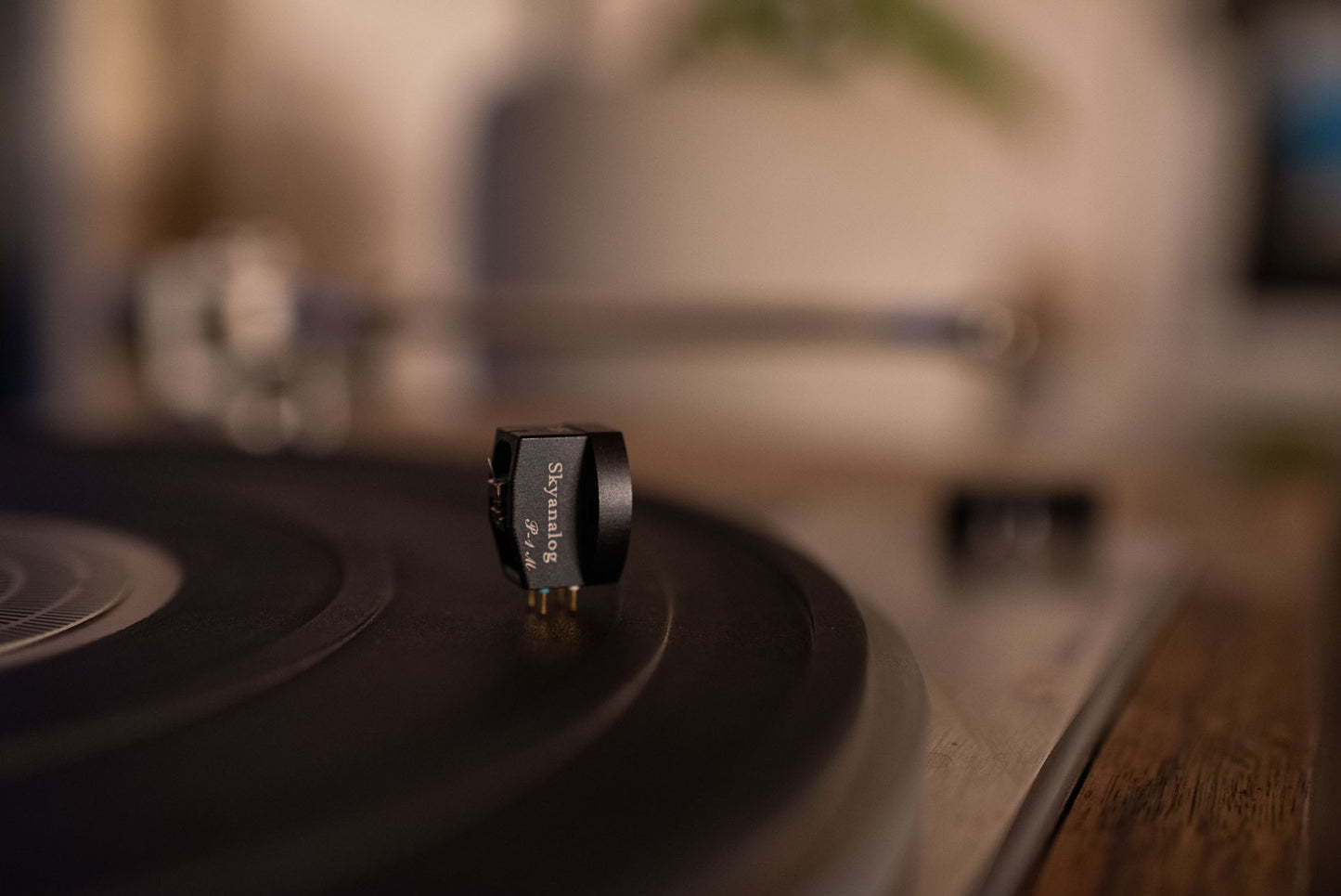Skyanalog P-1M (NEU)