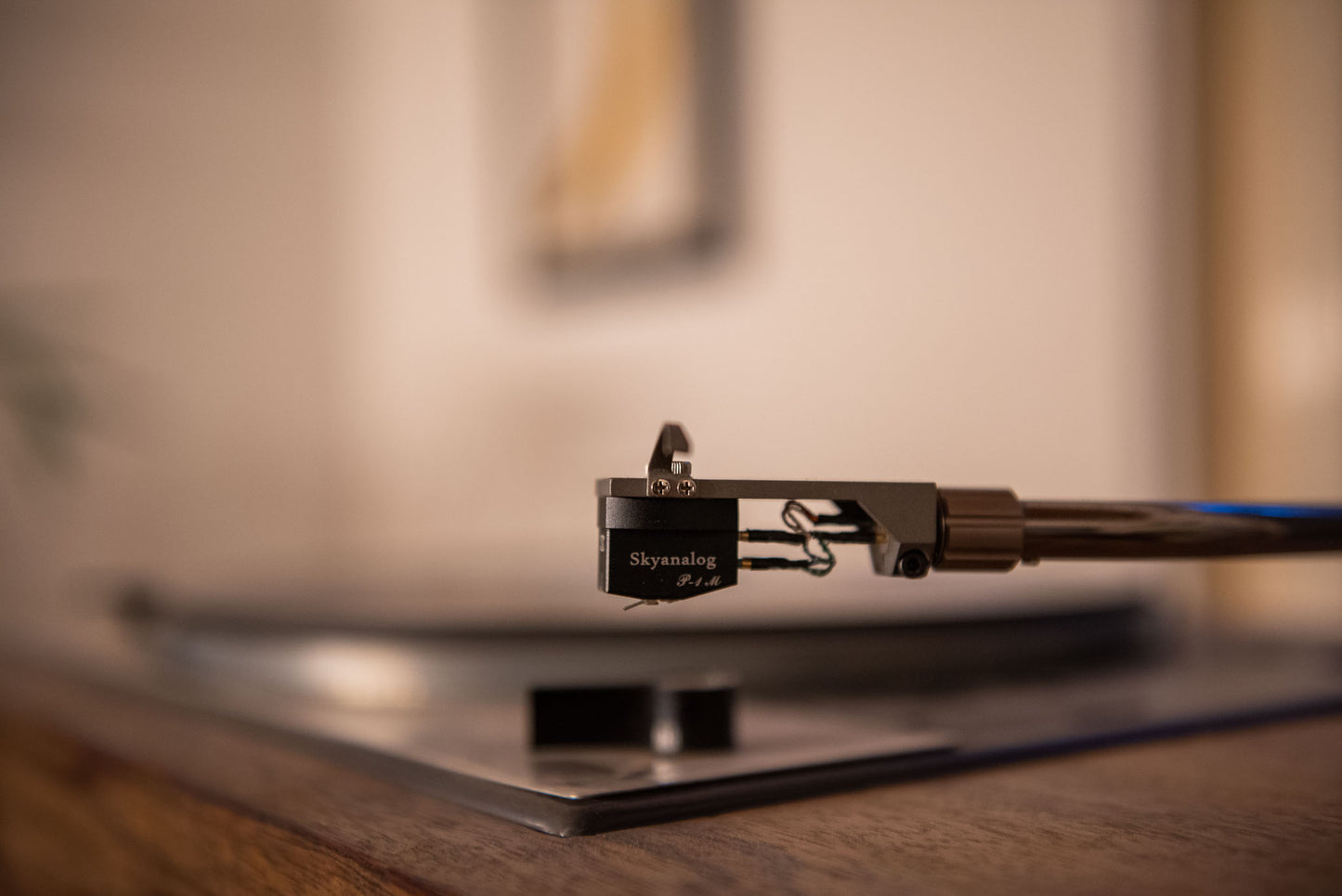 Skyanalog P-1M (NEU)