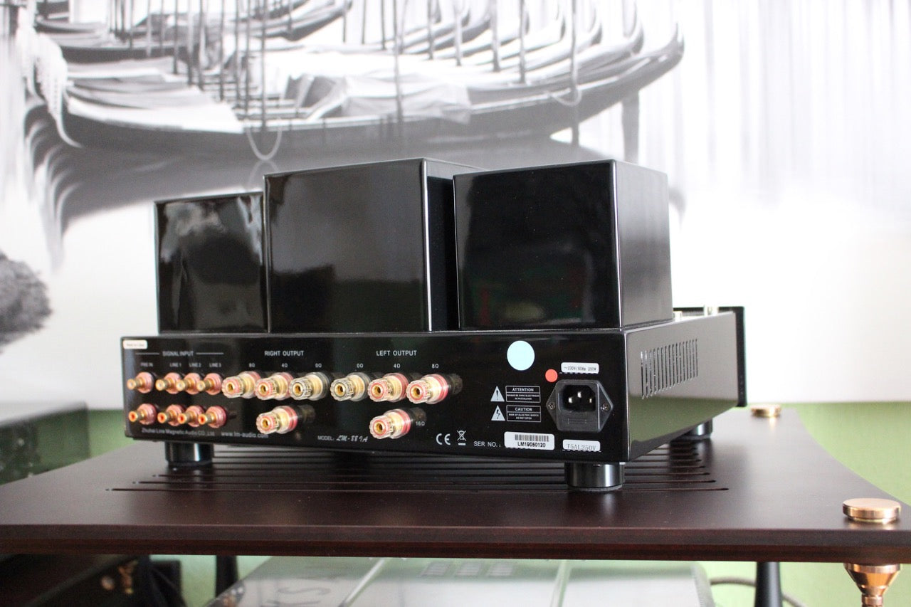 Line Magnetic LM-88 IA (aus Demo)
