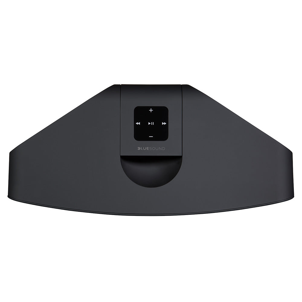 BLUESOUND PULSE 2i (NEU)