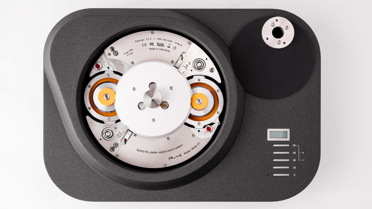 Reed Audio Muse 1C (NEU)