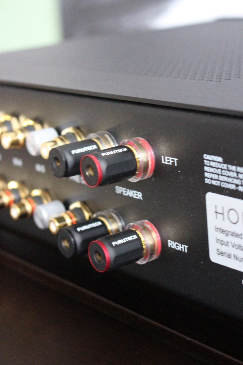 HOLBORNE swiss audio instruments Passion (NEU)