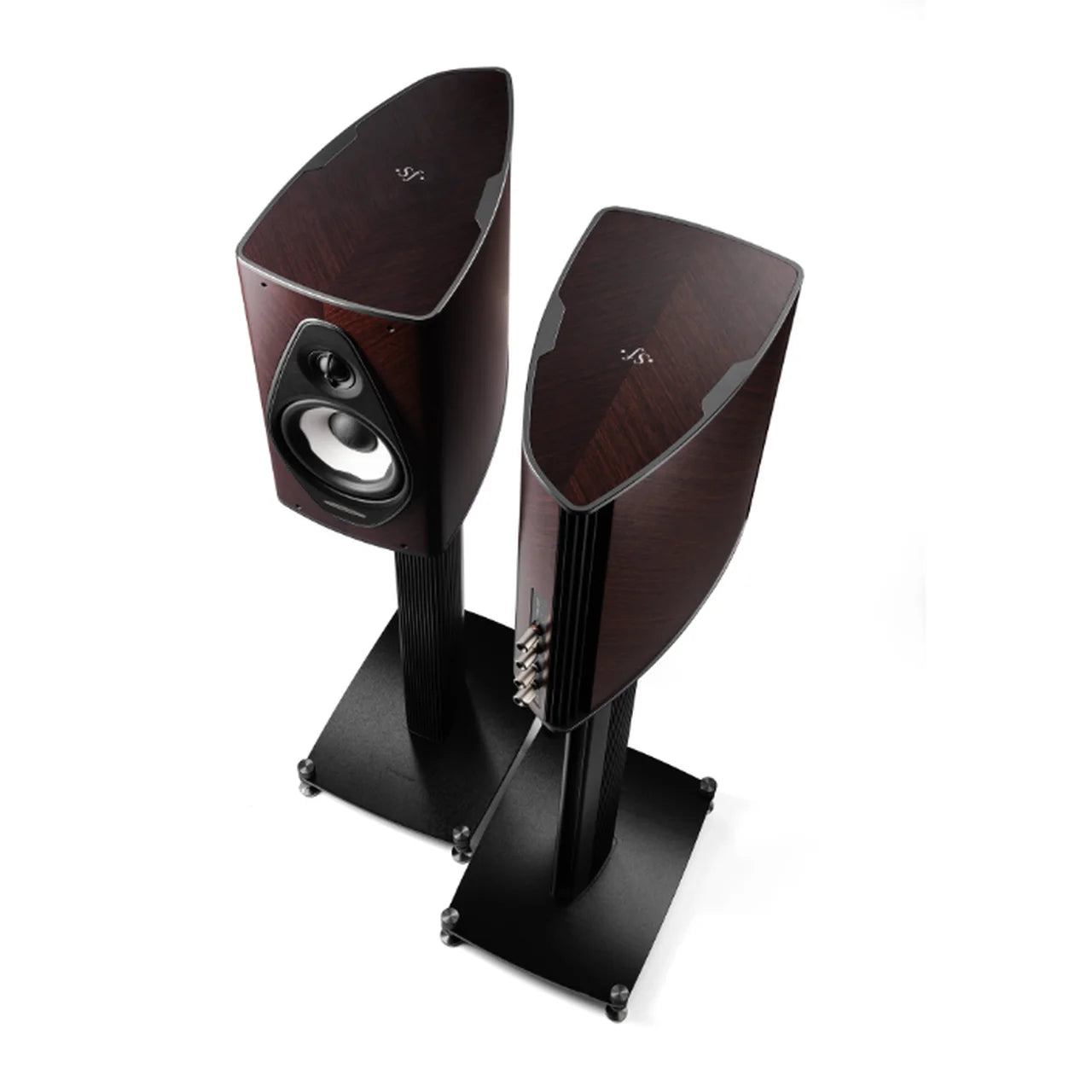 Sonus Faber Olympica I G3 Stand (NEU)