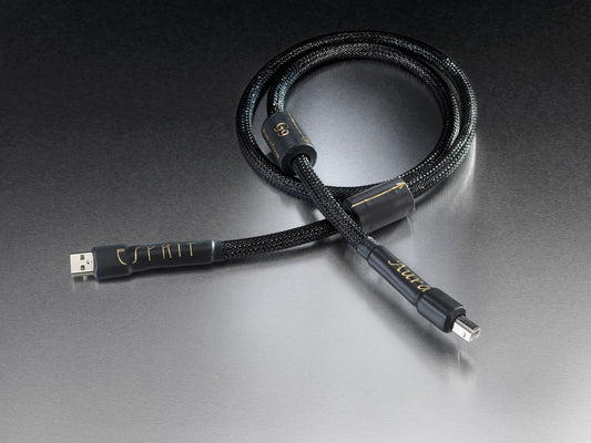 Esprit Audio Aura USB-A/B (NEU)