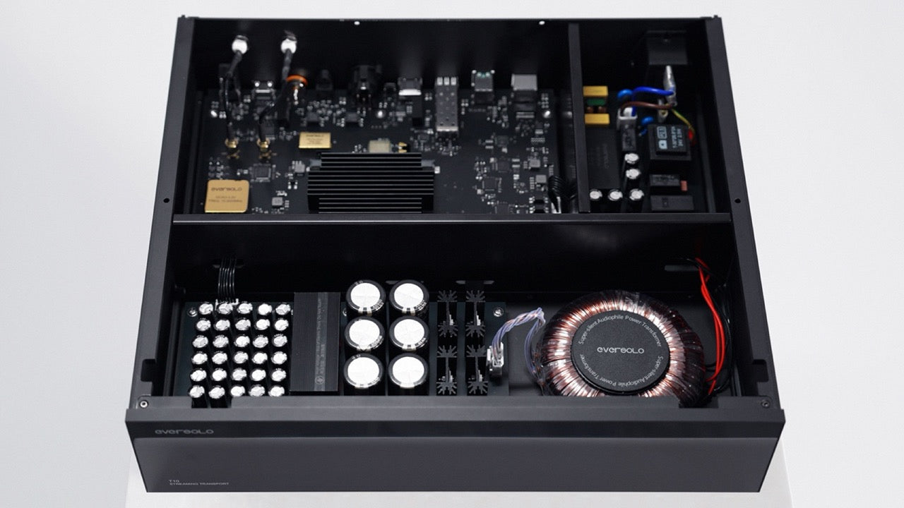 EverSolo T10 Transport (NEU)