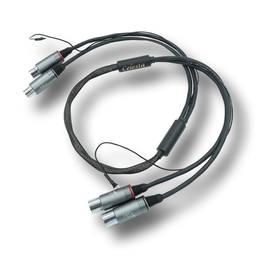 Esprit Audio Celesta GX Phono Interconnect (NEU)