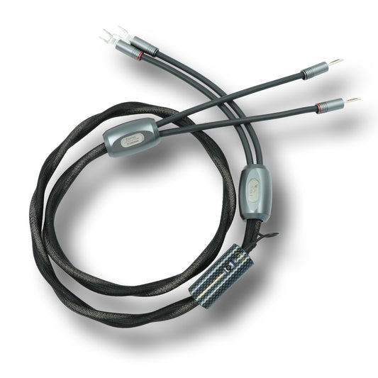 Esprit Audio Eterna GX Lautsprecherkabel (NEU)