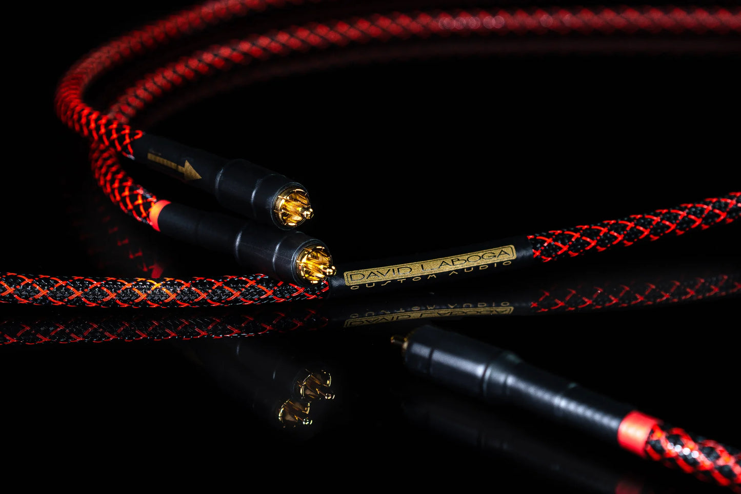 David Laboga Cinch-Kabel Level 1 (NEU)