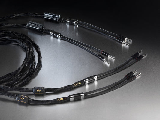 Esprit Audio Aura Lautsprecherkabel (NEU)