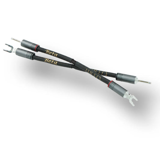 Esprit Audio Beta Kabelbrücken - Jumper (NEU)