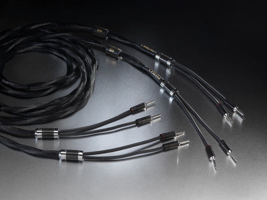 Esprit Audio Celesta Lautsprecherkabel (NEU)