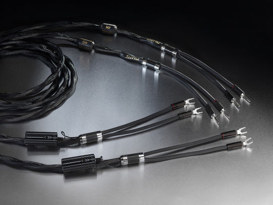 Esprit Audio Eterna Lautsprecherkabel (NEU)
