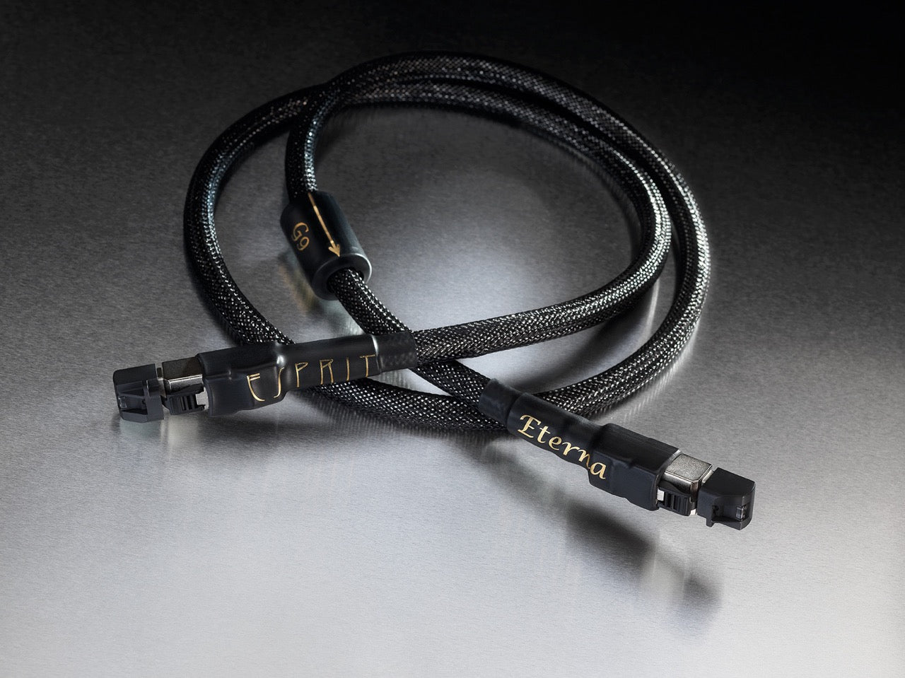 Esprit Audio Eterna LAN (NEU)