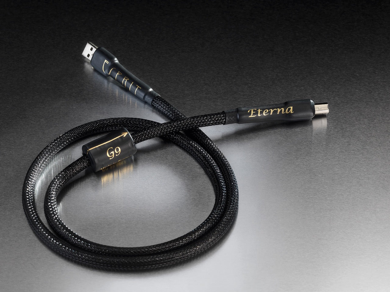 Esprit Audio Eterna USB-A/B (NEU)