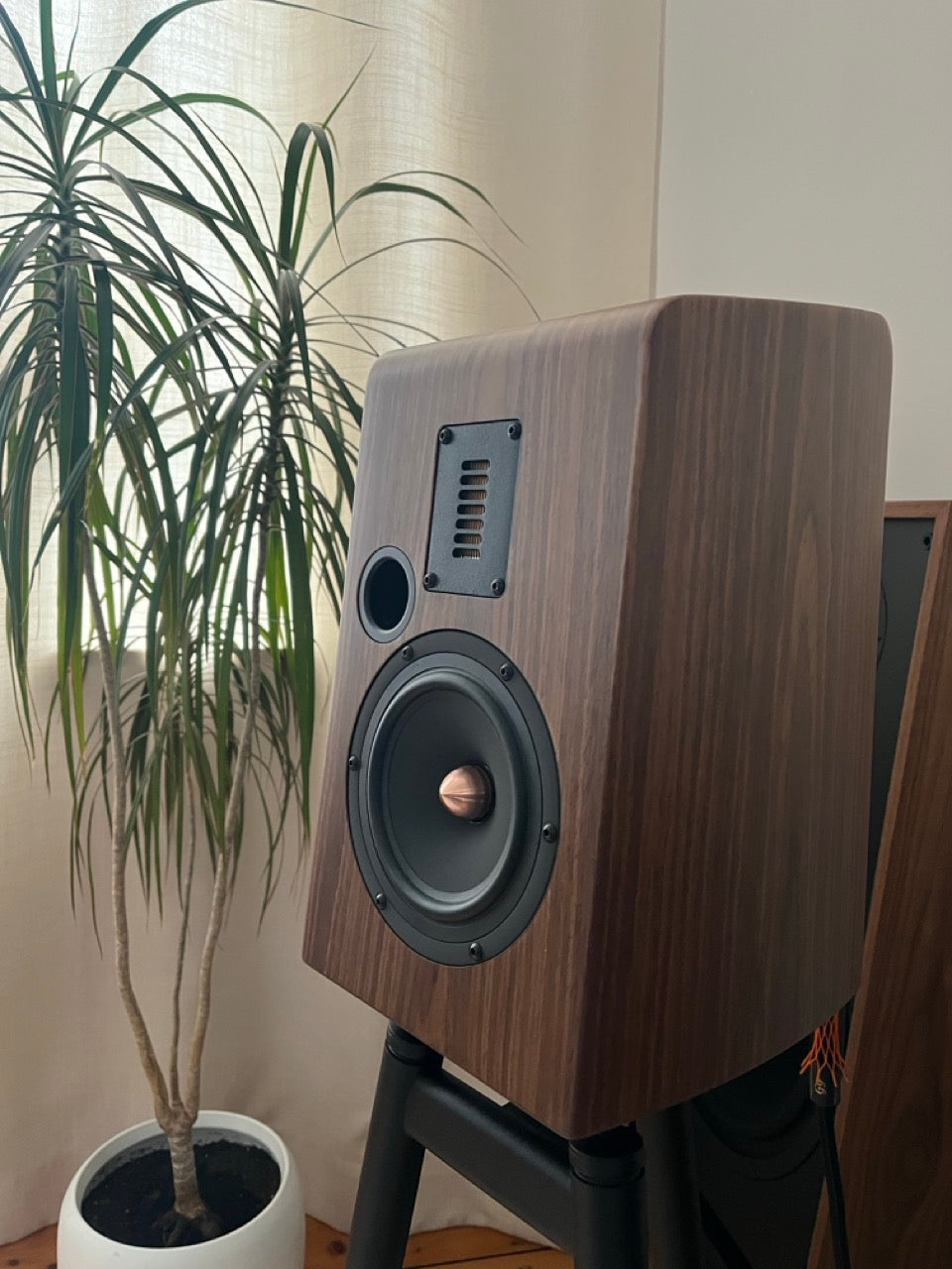 Esprit Audio Stella (NEU)