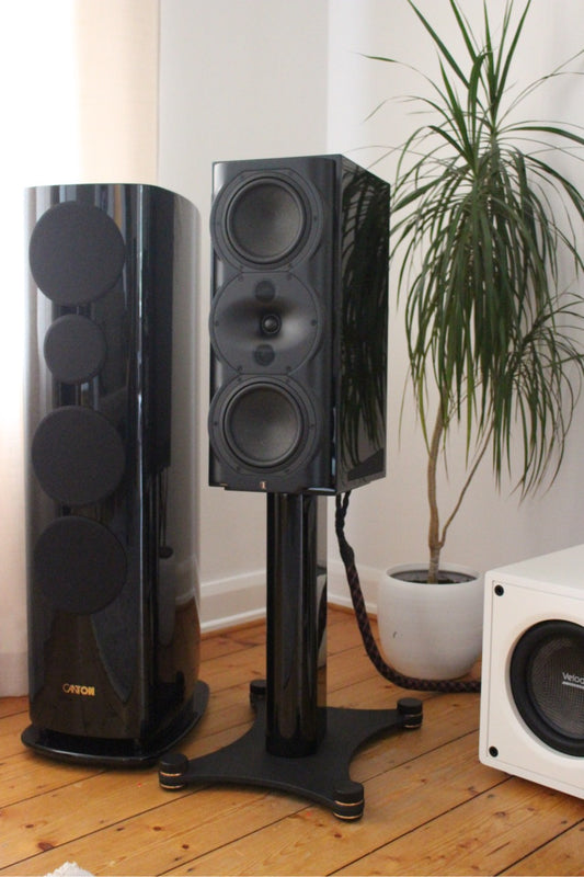 Perlisten Audio R5m (NEU)
