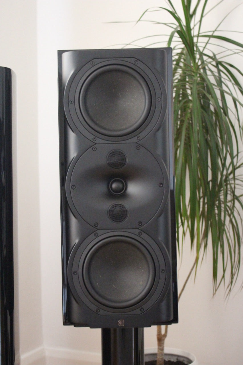 Perlisten Audio R5m (NEU)