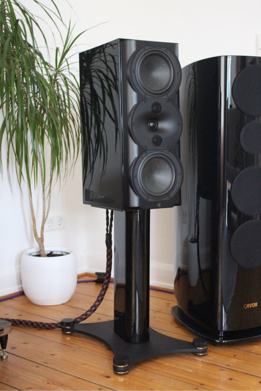 Perlisten Audio R5m (NEU)