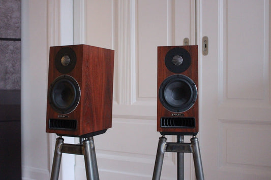 PMC twenty5.21 in Amarone (gebraucht)