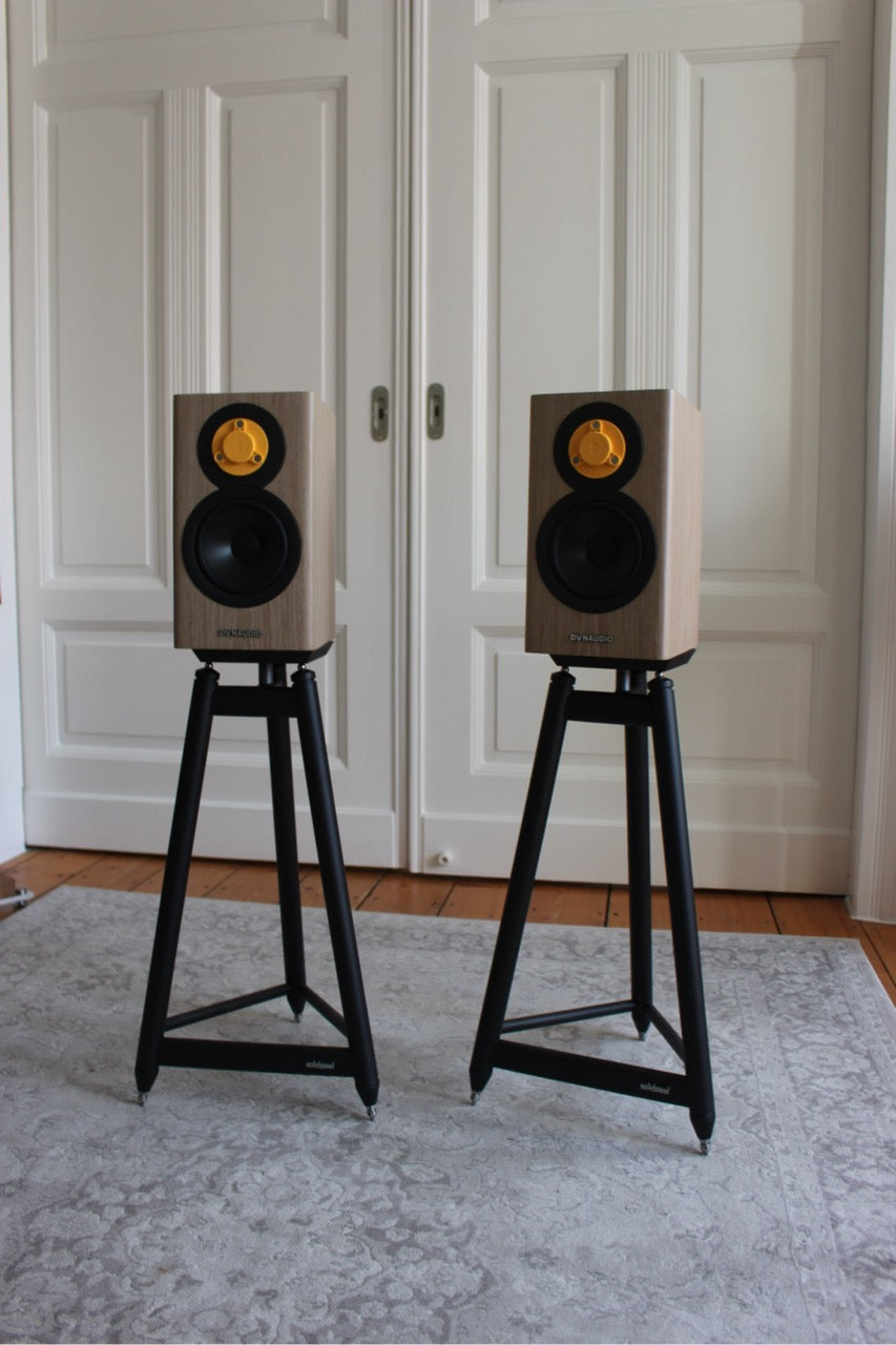 Dynaudio Evoke 10 (neuwertig)