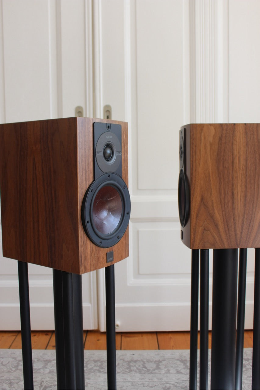 DALI Rubikore 2 in Natural Walnut (gebraucht)